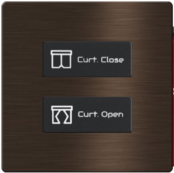 TIS-CLK-2B-1F-GOL Click 2 gang in Single Frame (copy)