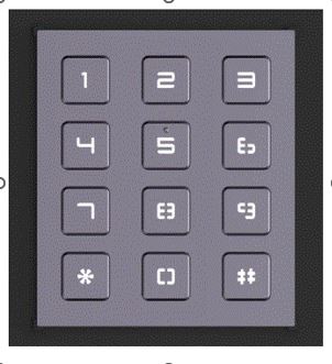 DS-KD-KP Keypad module