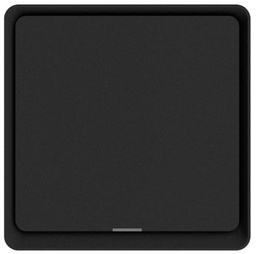 DIO-1G-SW-BEE  Dion 1 Gang Black switch with one relay (without of N neutral connection)