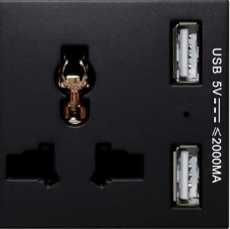 SOL-PLG-USB-B SOL Universal switched socket with 2 USB Charger