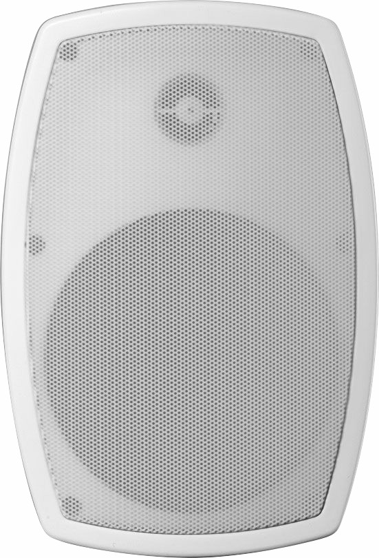TIS-SPK-WOUT Outdoor Wall Speaker 50 W