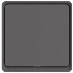 DIO-1G-SW-BEE-N Gray Dion 1 Gang switch with one relay (with N neutral)  Gray